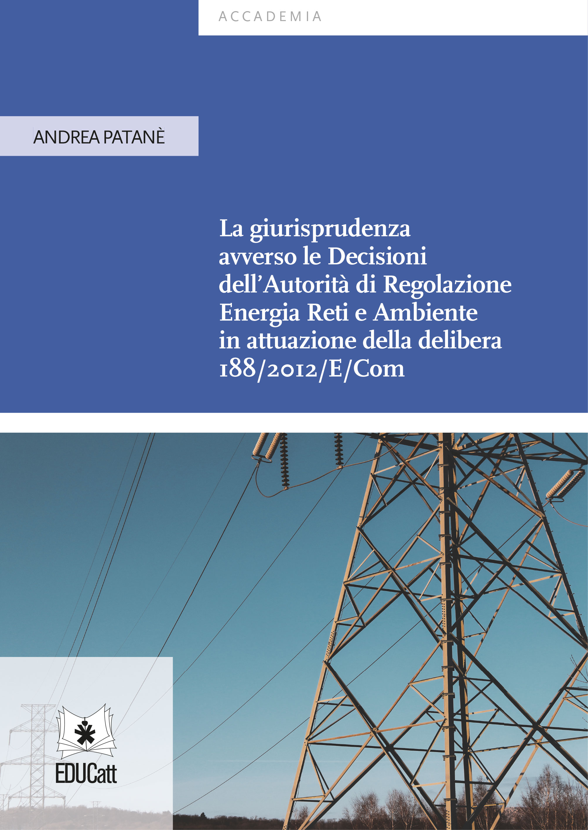 La giurisprudenza avverso le Decisioni dell’Autorità di Regolazione Energia Reti e Ambiente in attuazione della delibera 188/2012/E/Co [NE cartaceo]