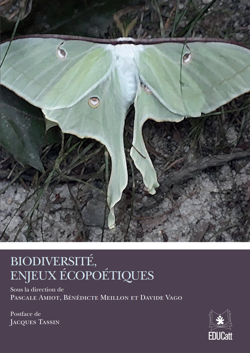 Biodiversité, Enjeux Écopoétiques